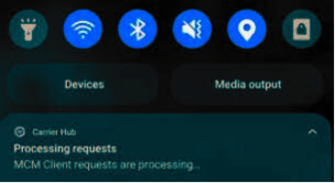 Carrier Hub Processing Requests Constant Notification