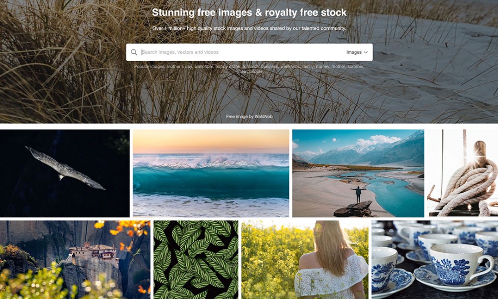 How-to-Use-Free-Stock-Images-in-Your-Projects