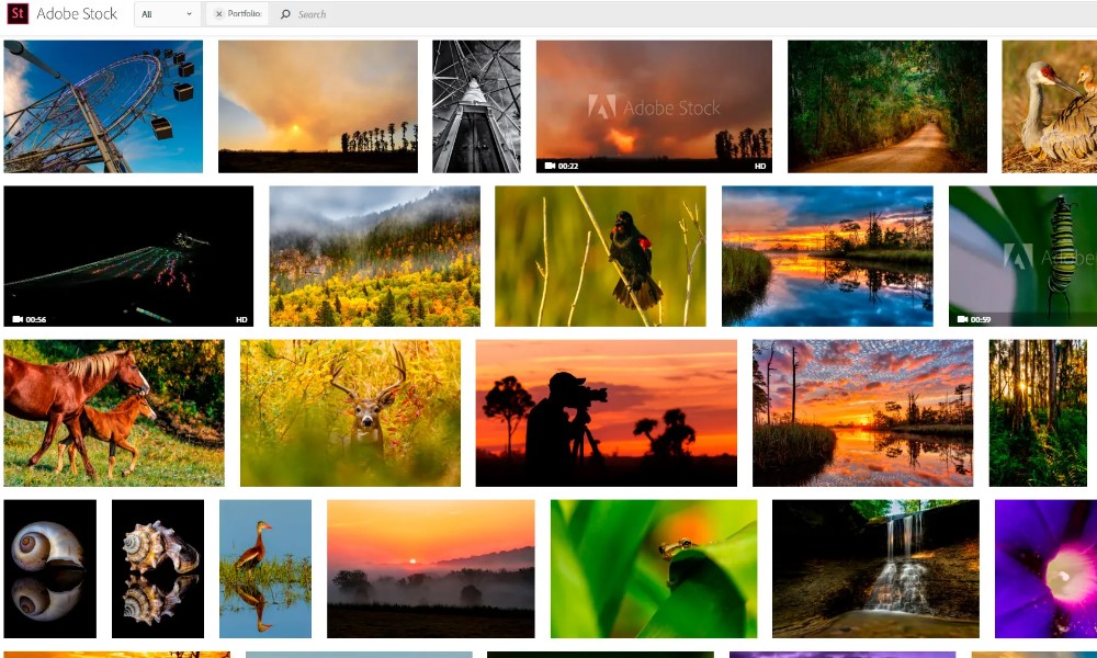 What-Are-Adobe-Stock-Images