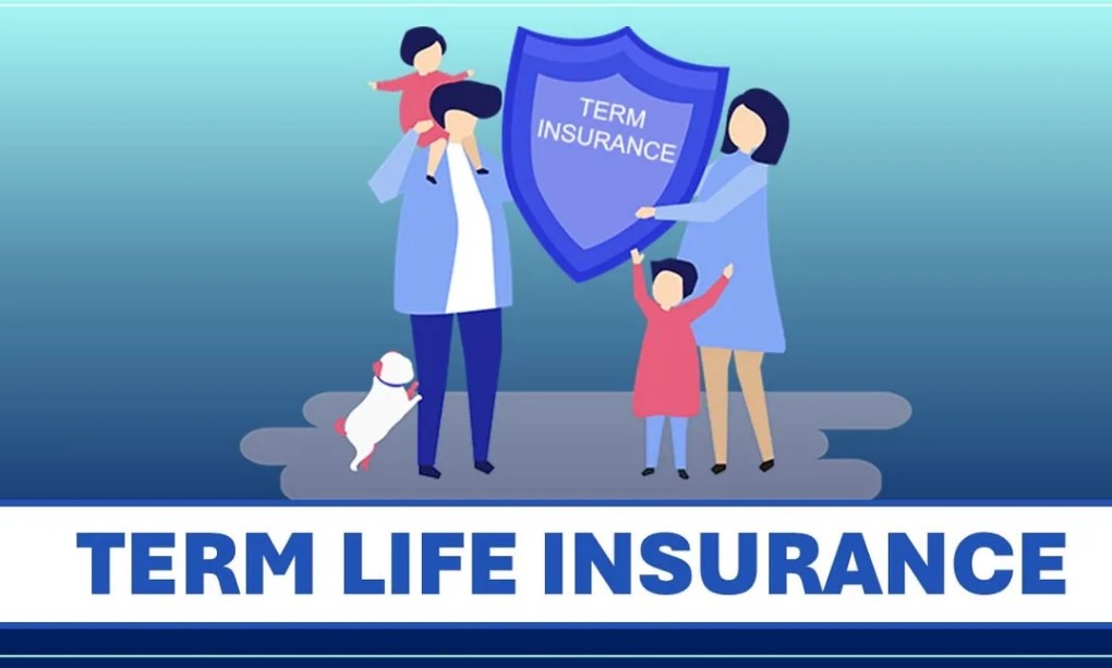 What-is-Term-Life-Insurance